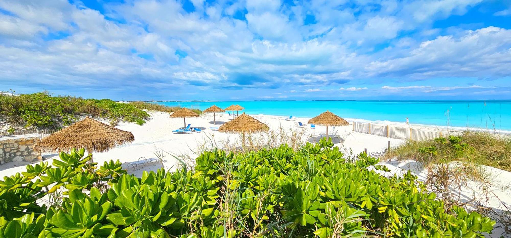 Luxury Beach Villa In Paradise. Treasure Cay Esterno foto
